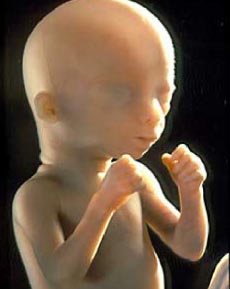 baby.jpg